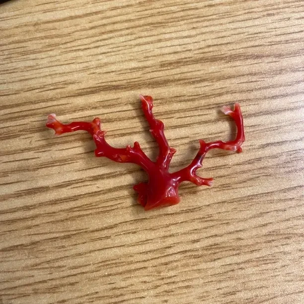 天然阿卡珊瑚原枝摆