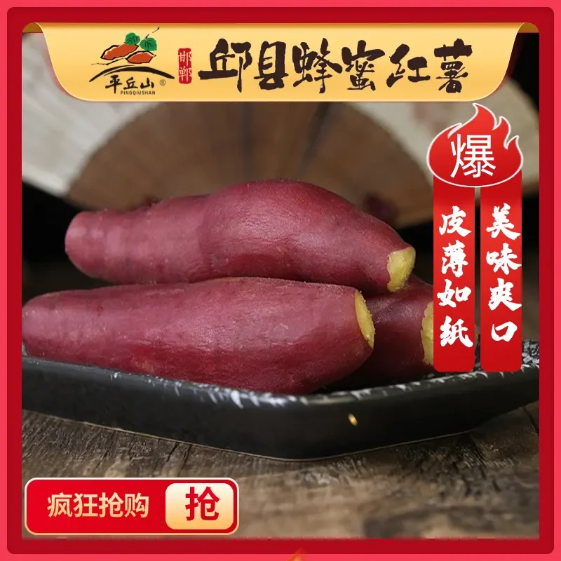 正宗邱县平丘山新鲜采摘沙地黄心蜂蜜红薯地瓜