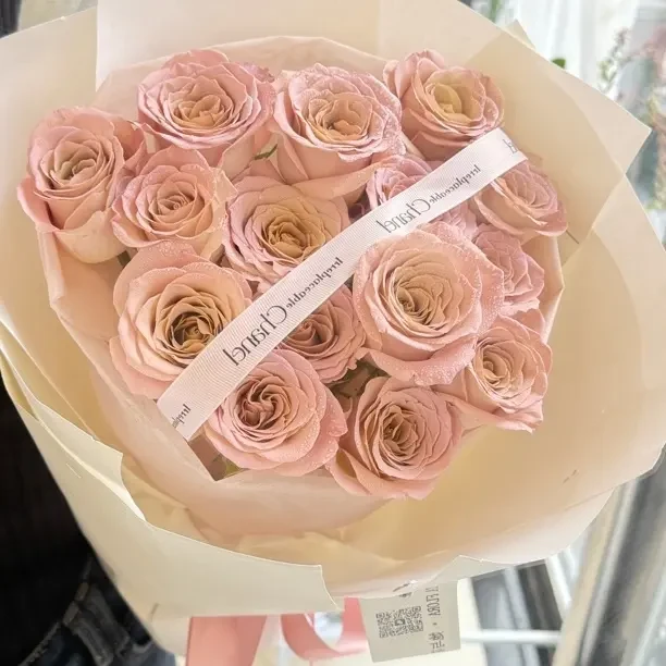 15枝曼塔玫瑰花束同城配送