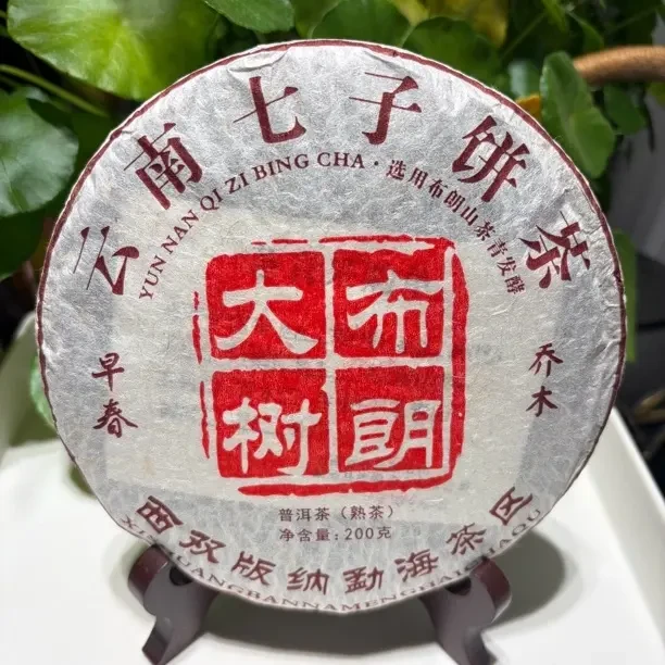 云南布朗山头春头采普洱茶生茶饼茶