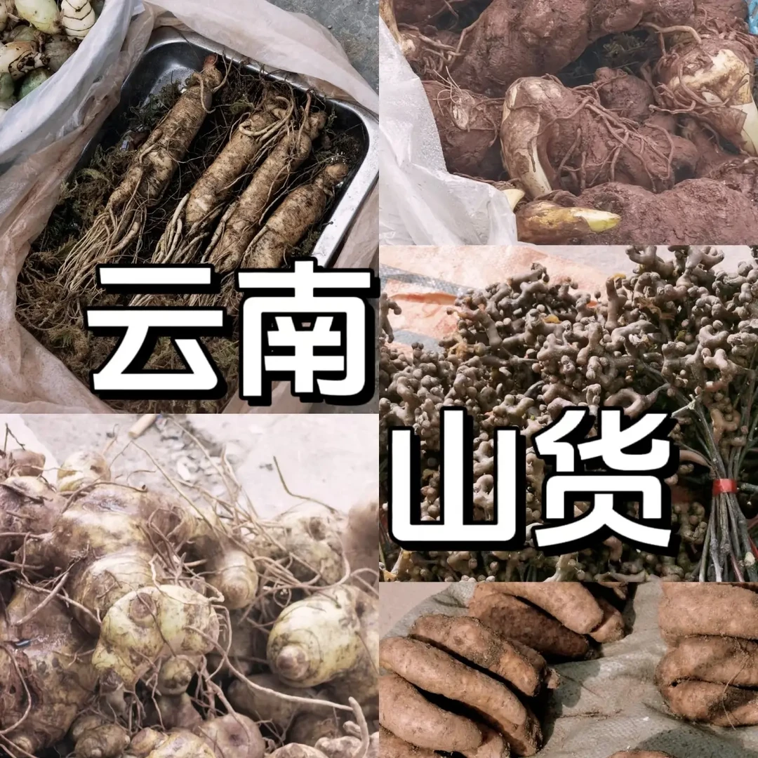 （小刘村长）山货代收云南新鲜紫包菜