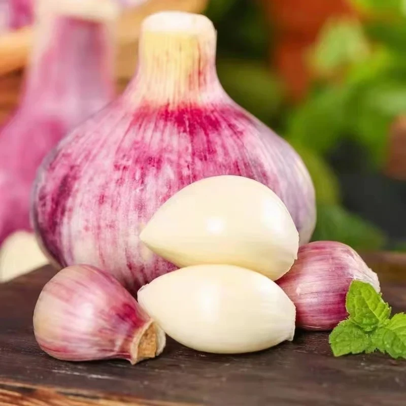 25年新鲜现挖云南大理紫皮大蒜带箱3/5斤装湿蒜炒菜伴侣