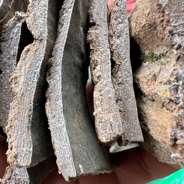 原生态带树皮可泡酒煮水煲汤的道地原材料