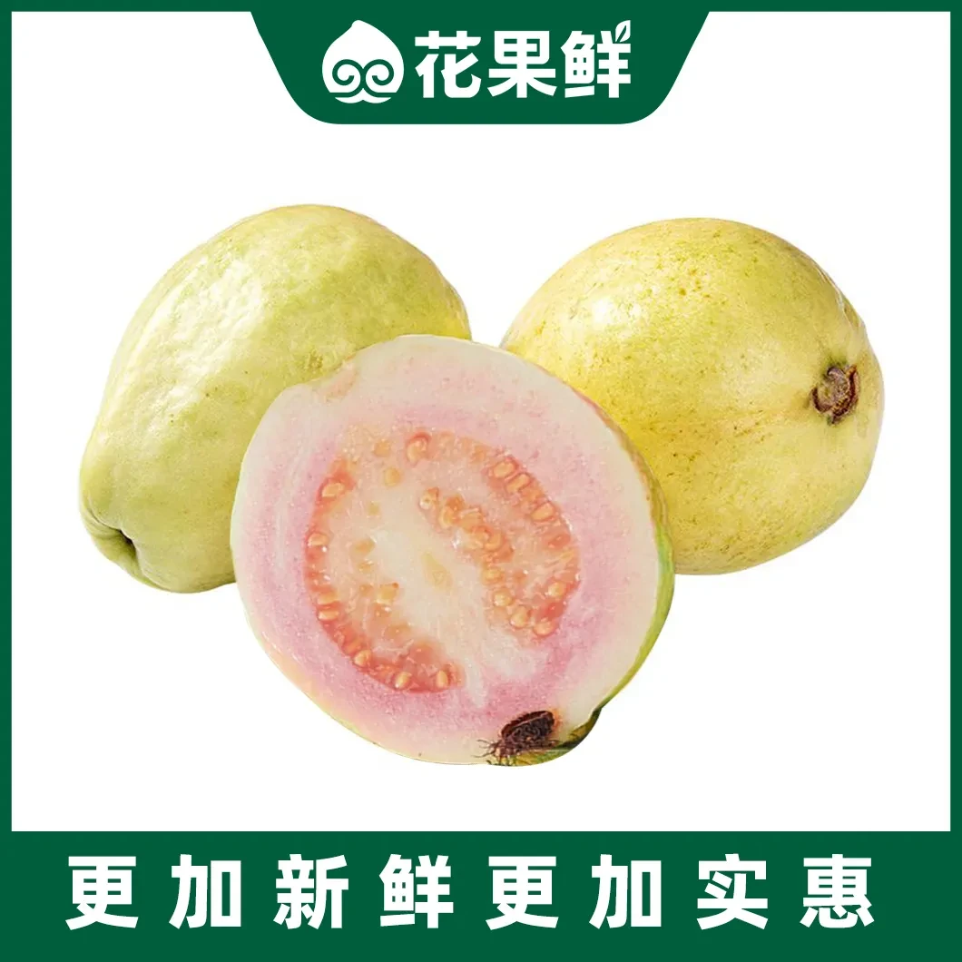 胭脂红奶油芭乐红心约500-570g鸡屎果