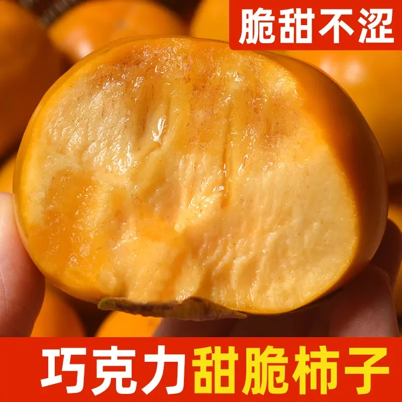 巧克力脆柿阳丰甜柿新鲜水果大柿子脆柿子冰糖心脆柿新鲜整箱包邮