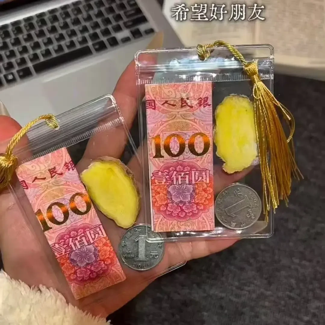 首饰袋 首饰袋 【金牌加持】同款一百元小红书透明同款币收纳袋姜WH