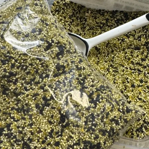 主播同款自制高营养育雏粮蛋小米虎皮玄凤牡丹鹦鹉专用营养鸟粮