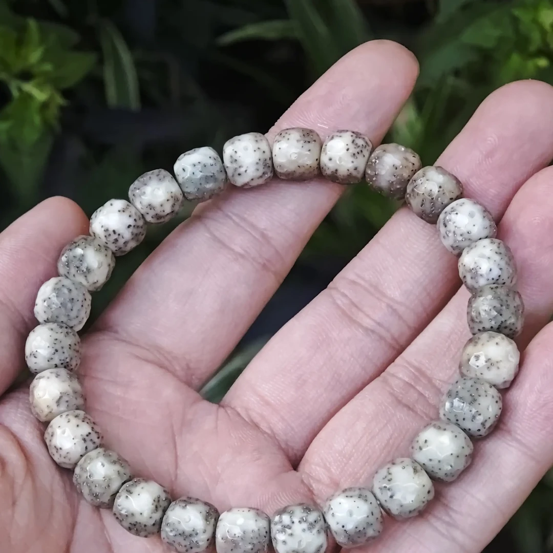 9*8mm 海南星月菩提 石玉料 手工无相单圈 龙鳞