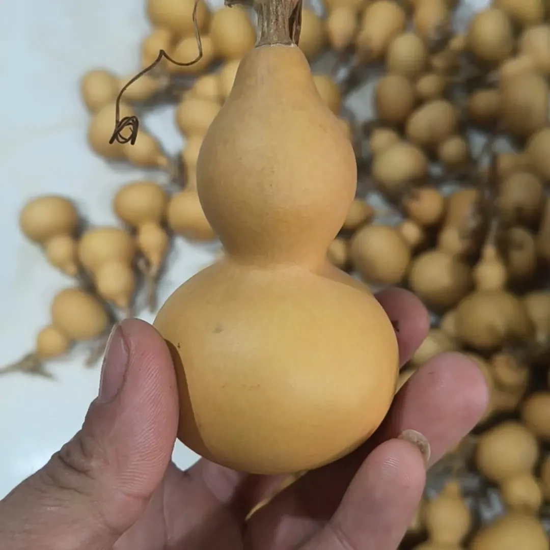 天然文玩葫芦手把件盘玩带龙头优选小葫芦一物一图