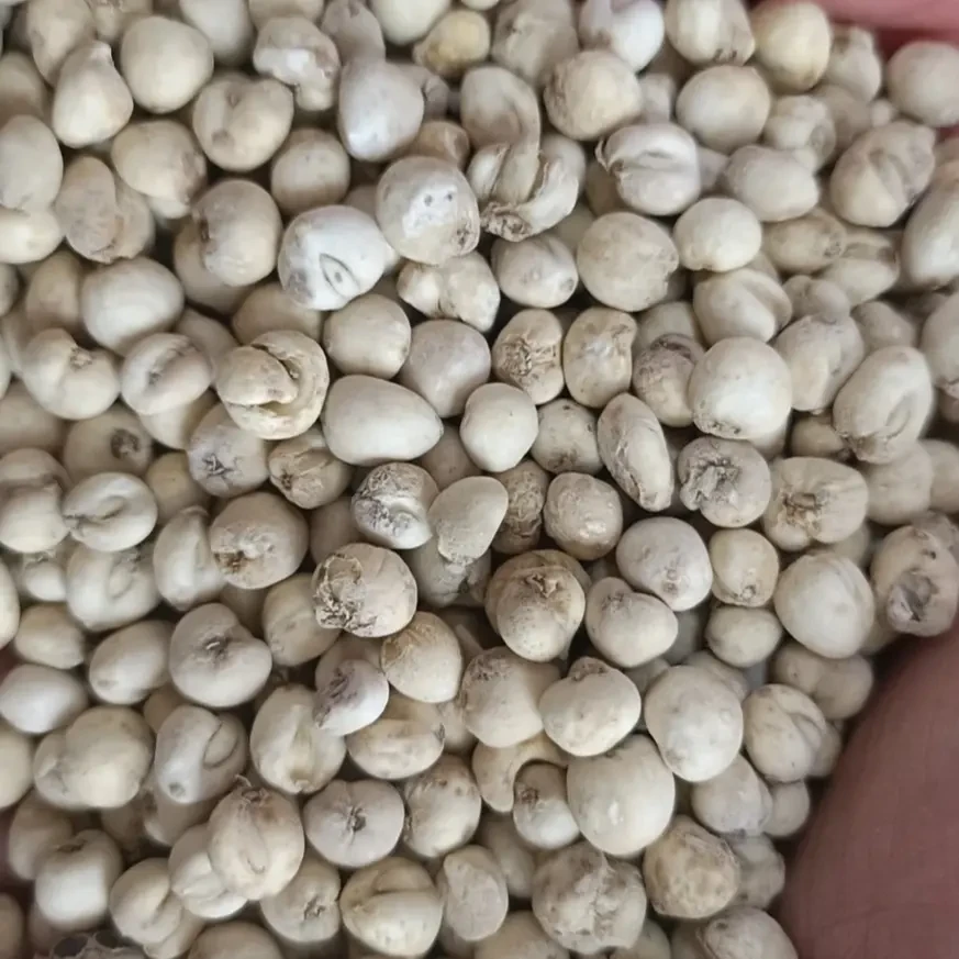 ［云南土特产］下山川贝母（老金）