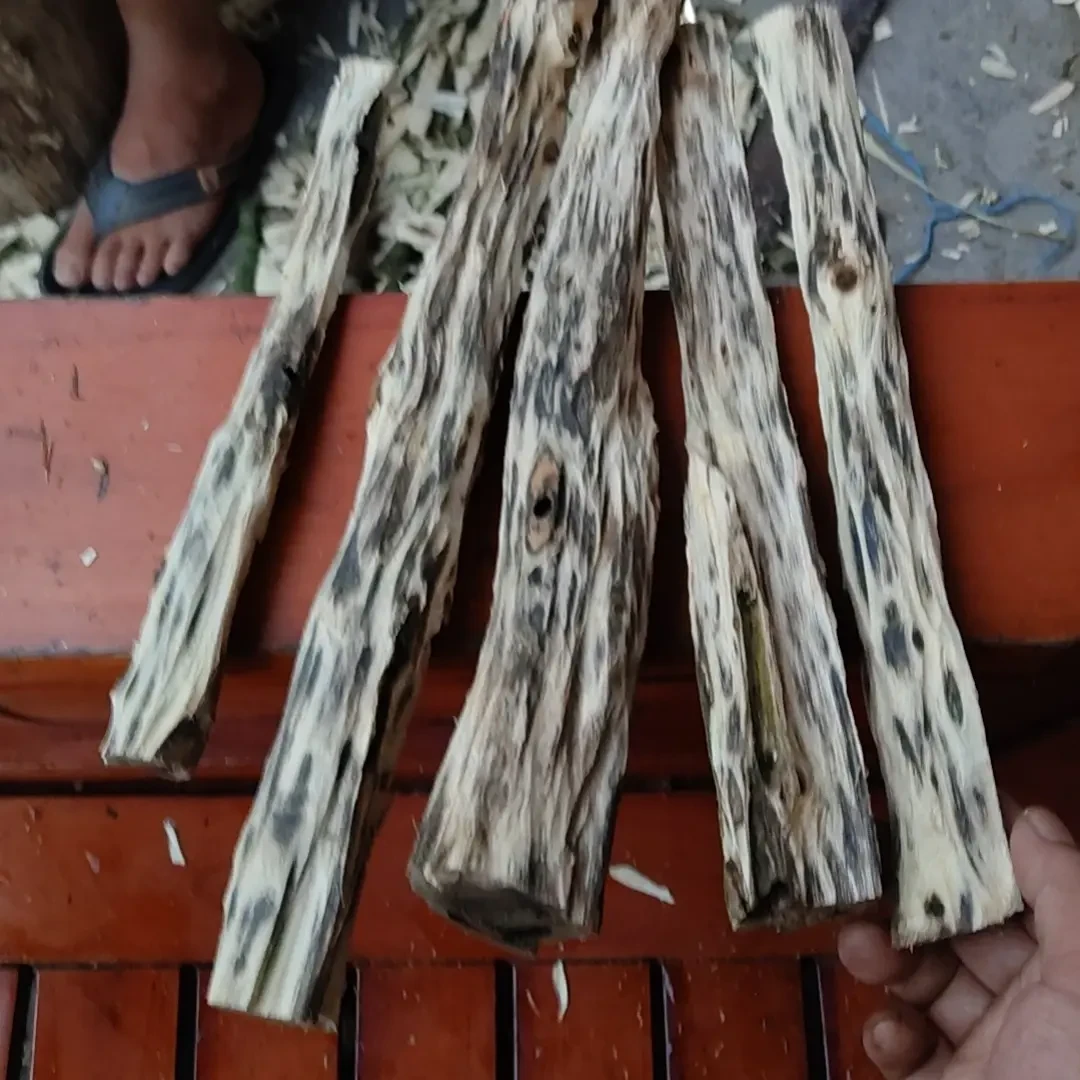 沉香棋楠吊通珠仔原料500克正宗