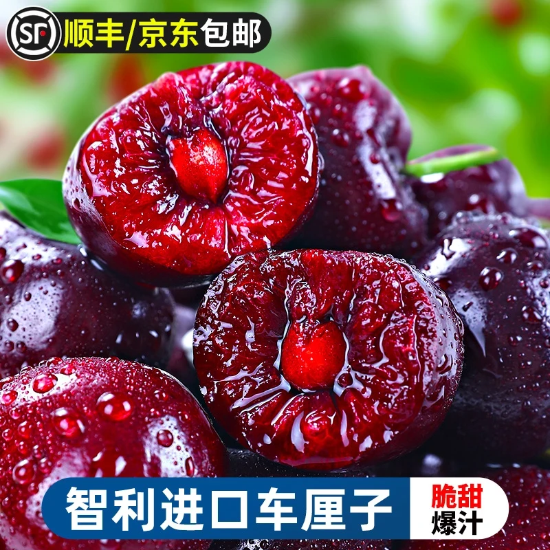 【源头直发】5斤装智利进口车厘子JD-4JD 2.5KG/次日达