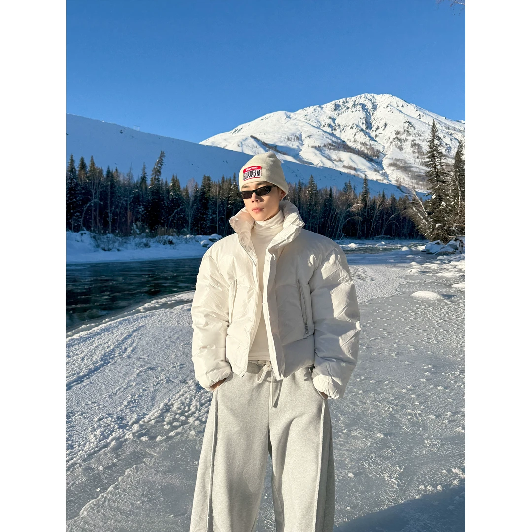 DBW Doublewin行走的倒三角90白鸭绒羽绒男冬季立领短款面包服954