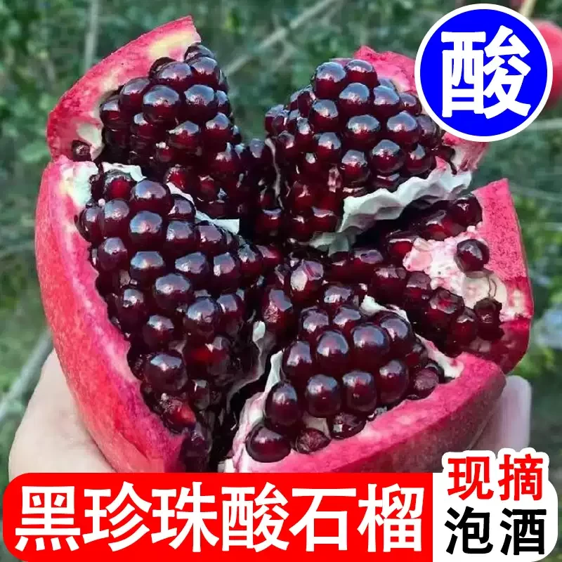正宗四川攀枝花黑珍珠酸石榴新鲜孕妇水果酸味石榴泡酒当季新鲜