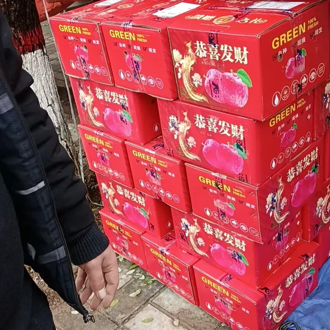 从田间到舌尖的香甜，品尝淳美土岐苹果品味人生绝无仅有的美味