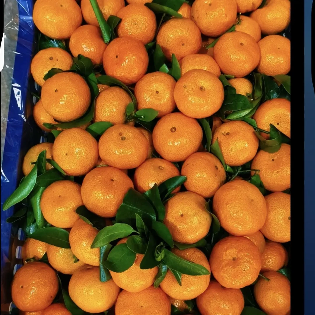 广西正宗砂糖橘当季新鲜水果皮薄多汁香甜柑橘