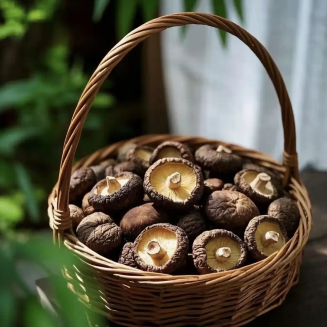 小同山货   『通用』