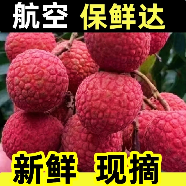 广西桂味黑叶荔枝 新鲜采摘冷链直达 鲜荔枝批发