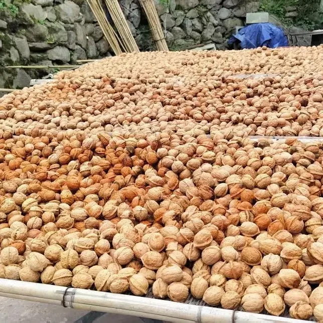 妈妈家正宗高山土核桃