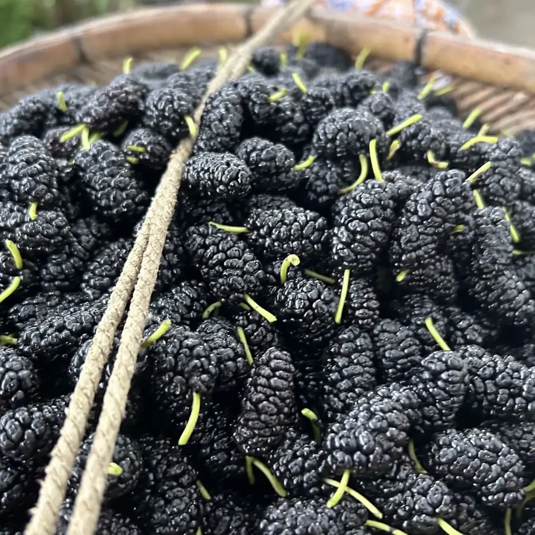 孟总专拍链接~桑~盛非~桑盛~