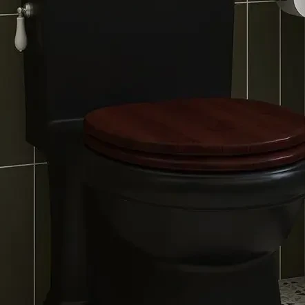 欧式法式复古虹吸式个性创意酒店民宿用坐便器