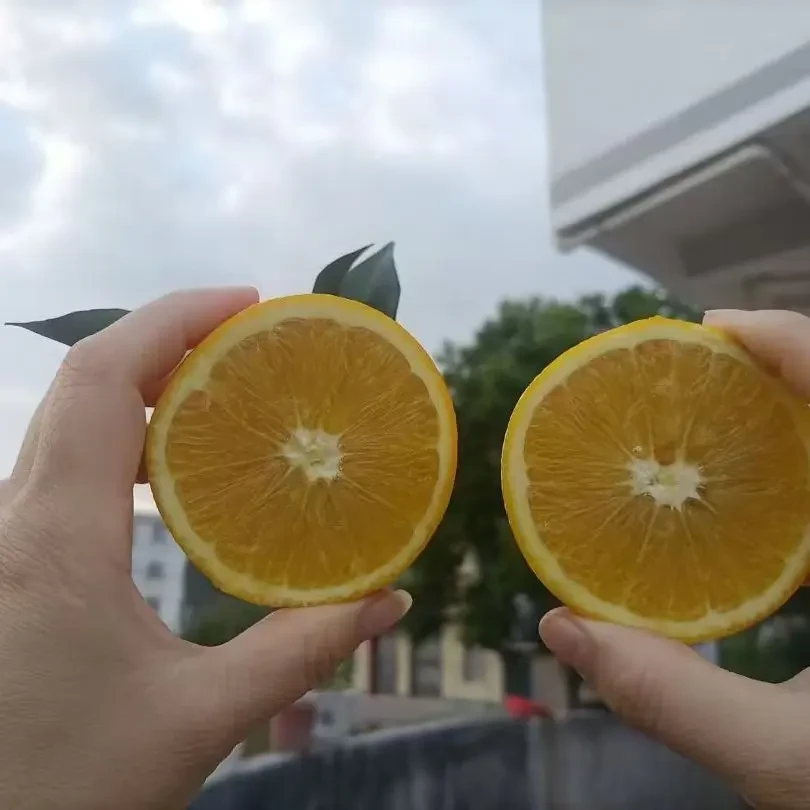 江西赣南脐橙新鲜当季清甜多汁皮薄肉厚现摘现发
