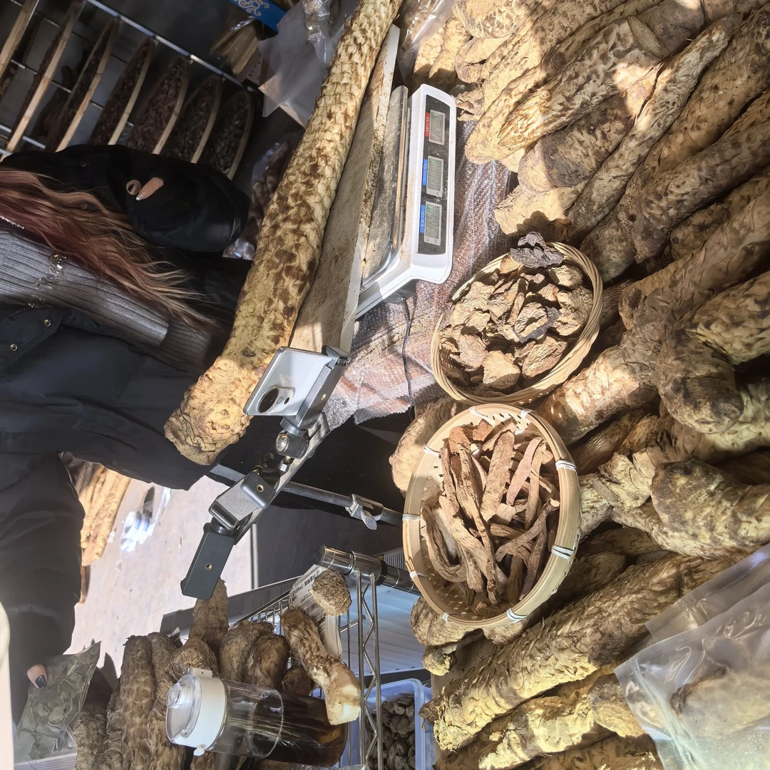 阿拉善秋冬季肉苁蓉