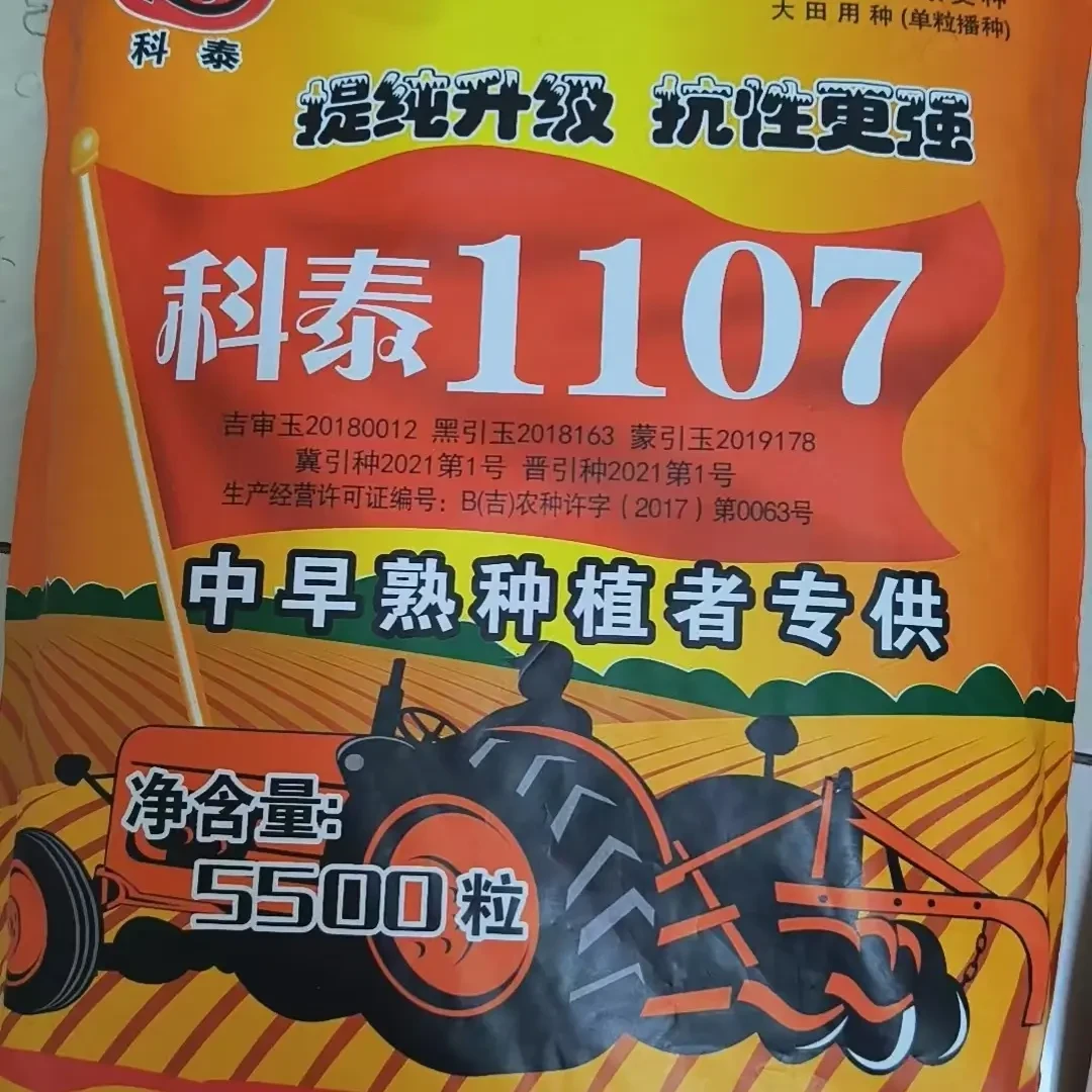 科泰1107，2350-2500积温，黄金石头粮，高抗倒伏，抗病好，活杆成熟