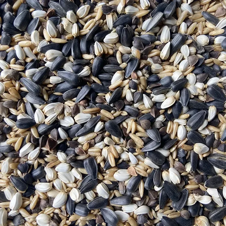 鹦鹉混合粮养殖场专用 【高品质通用版】