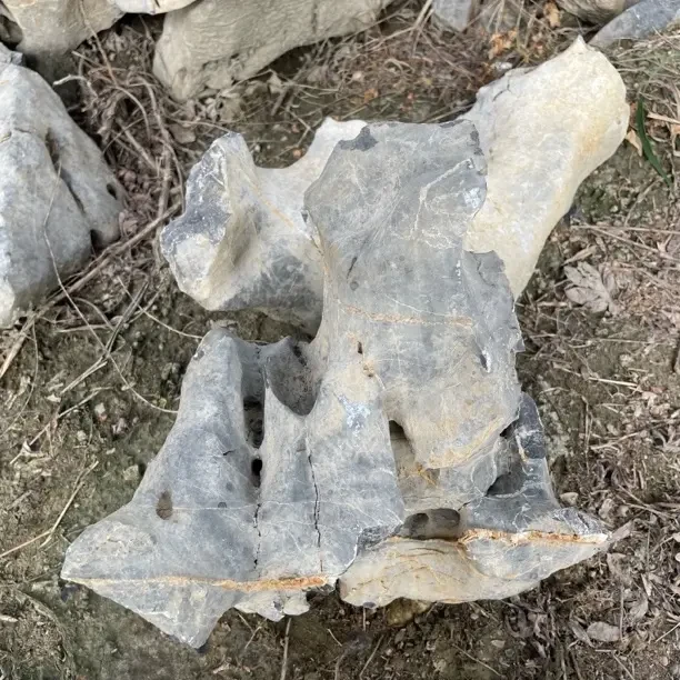 天然太湖石原石用于庭院造景别墅园林观赏装饰