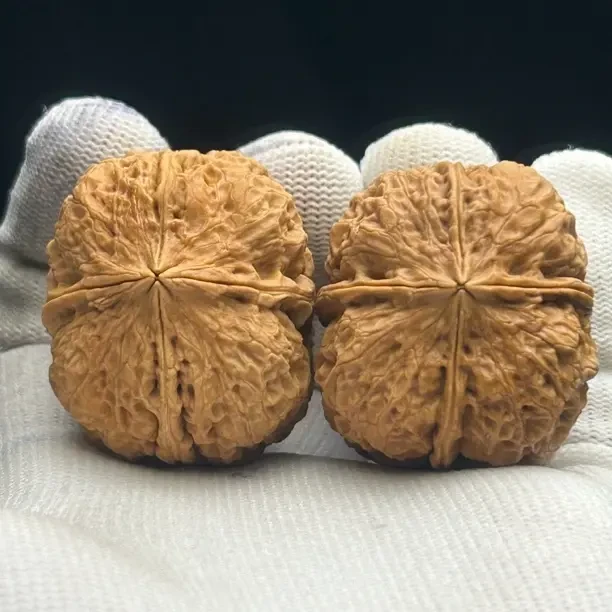 40mm棱聚金章 四棱精品云铁