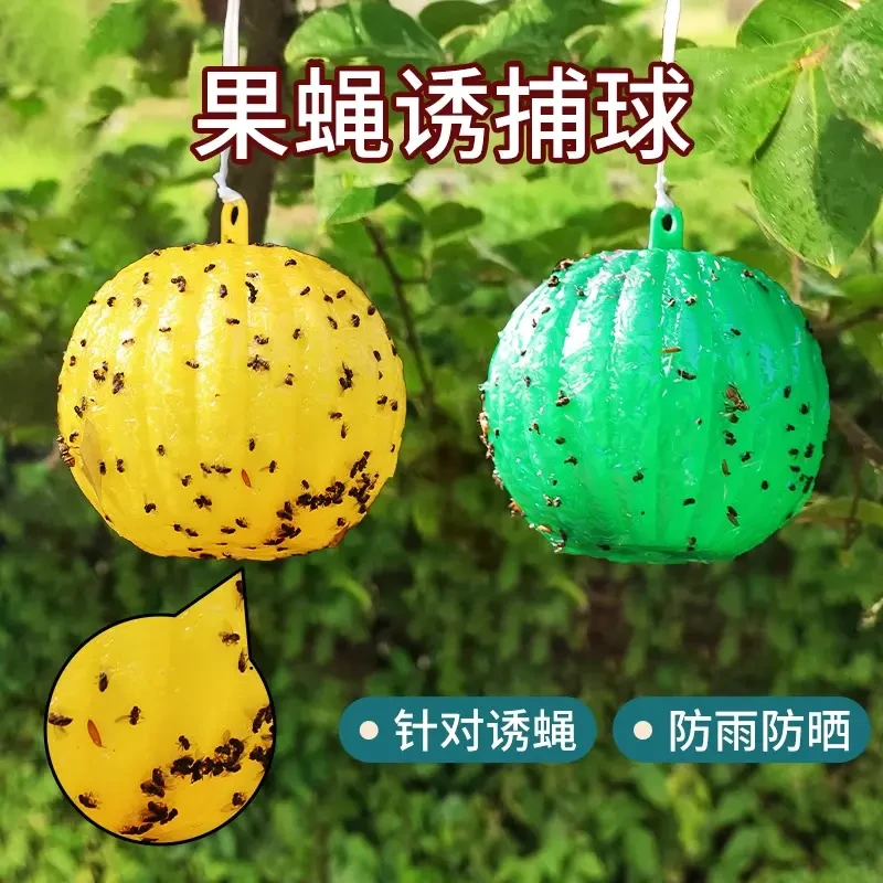 粘虫球瓜果园大小实蝇丝瓜柑橘大实蝇诱蝇球杀针蜂贴果蝇诱捕用品