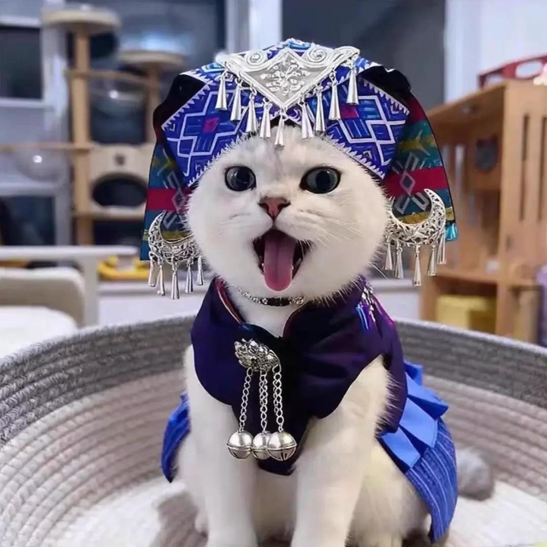 猫咪翠花民族风宠物服装翠花猫咪狗狗服装宠物头饰