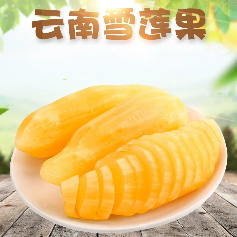 【鲁甄】云南天山雪莲果 脆口清甜多汁削皮即食 坏果包赔 5斤气柱装