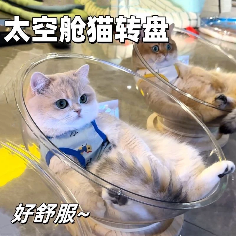 【宠物必备物品】超萌猫咪太空舱夏季猫窝四季通用自嗨猫玩具床一体