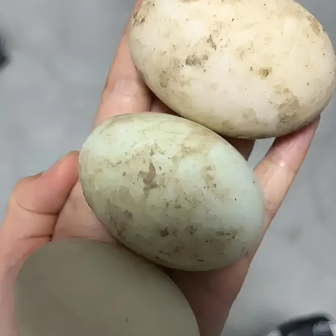 乡行者走乡村农家散养新鲜土鸭蛋