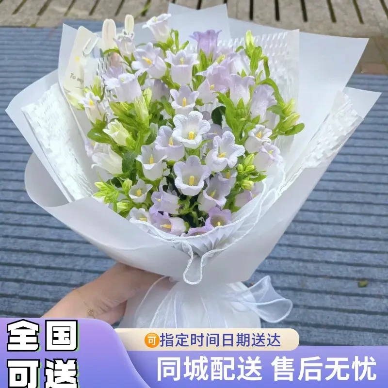 【全国可送】网红七色风铃花鲜花同城订购真花送女友闺蜜生日礼物
