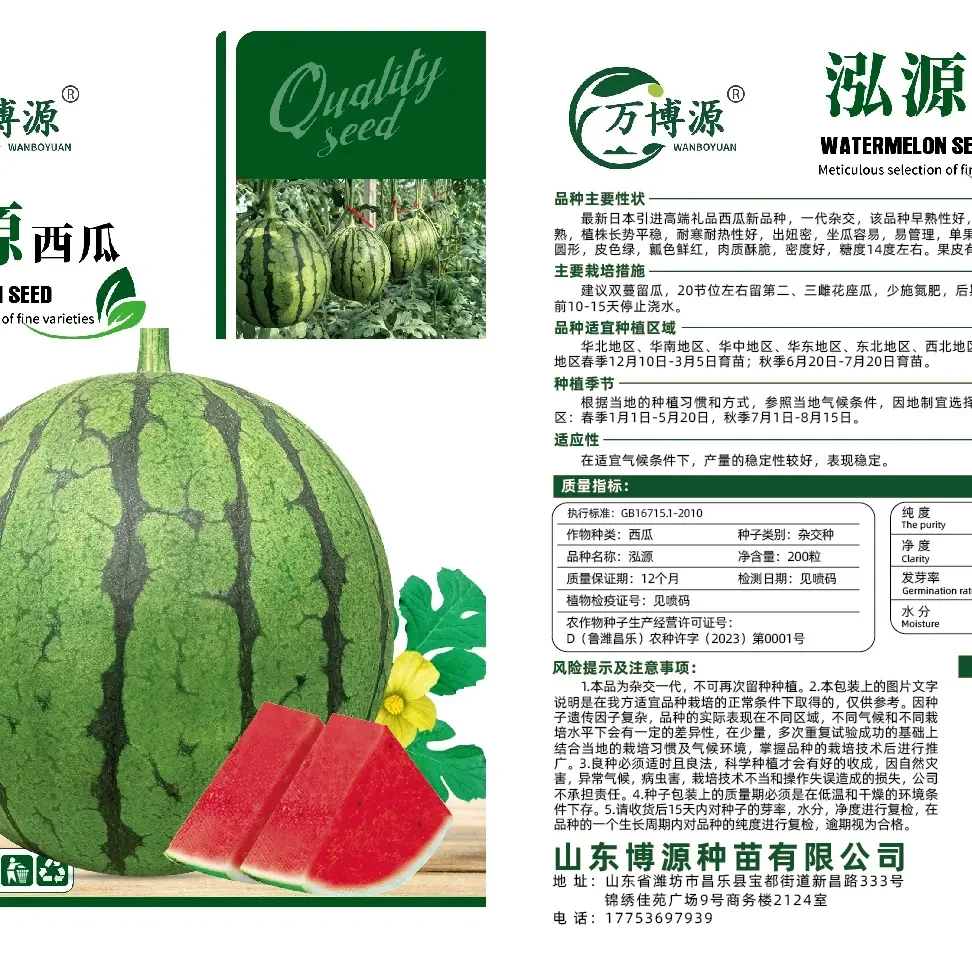 高端礼品西瓜西瓜种子早熟种子正品西瓜籽