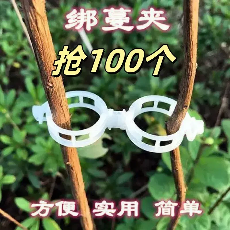 【抢100个】藤蔓植物夹绑枝扣吊蔓扣扶蔓夹西红柿夹藤蔓蔬菜吊秧绳