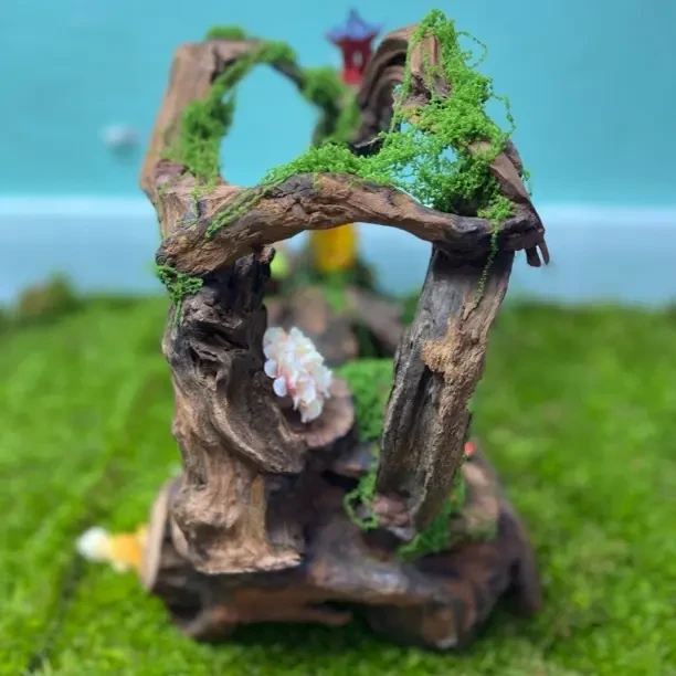 云南紫柚木沉木鱼缸造景乌龟爬台寄居蟹躲避处