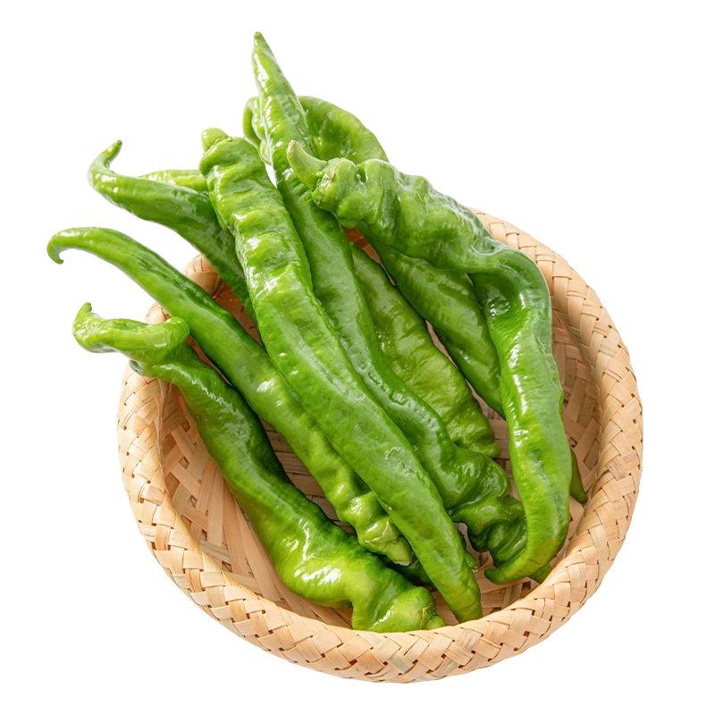 本地精选高山螺丝椒