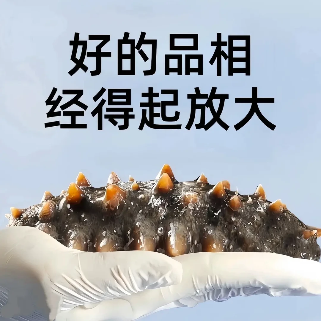 自有海区冷水参 懂货的进来