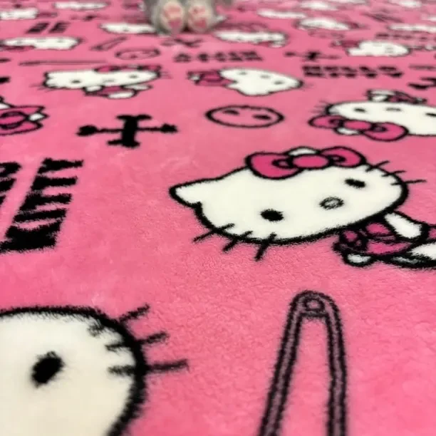 冬季新款卡通外贸云绒毯