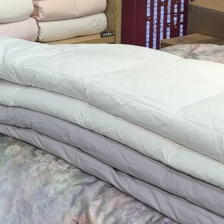 丹姐家-某来同款西伯利亚大鹅羽绒被600g