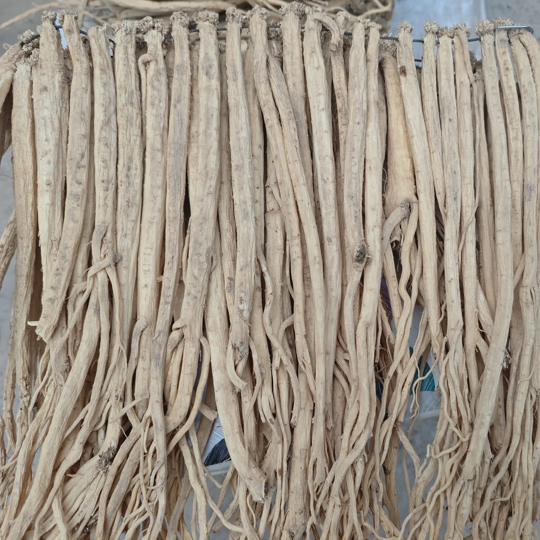 甘肃岷县干党参煲汤泡水滋补养生