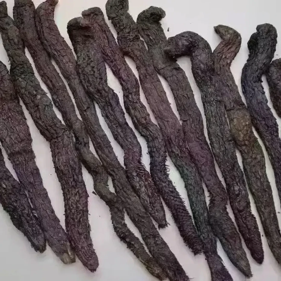 现收山货 丛蓉 可搭配红枸杞煮水炖汤的优质食材