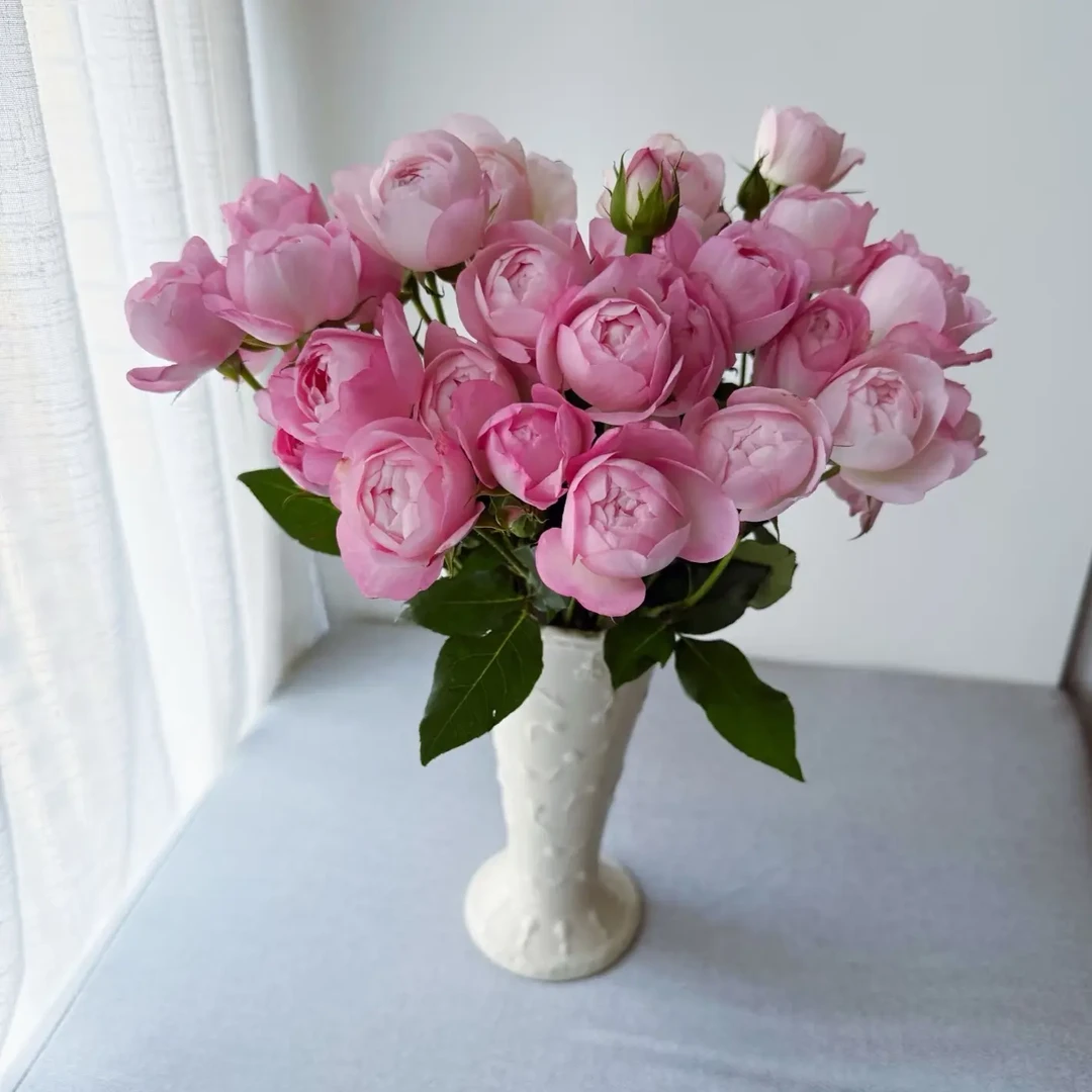 草莓杏仁饼（拍8支发10支）