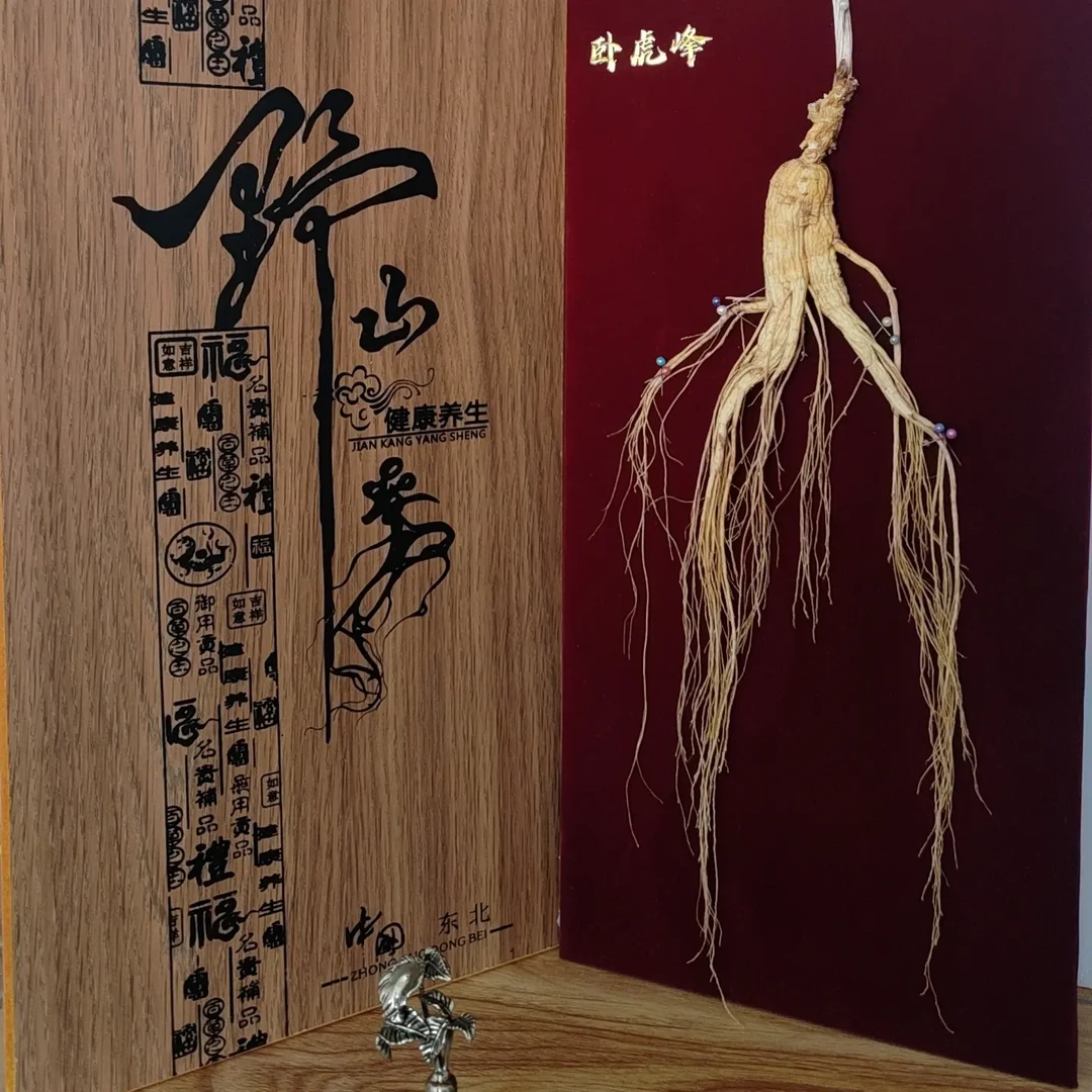 长白山林下参可泡水泡酒煲汤滋补养生送礼佳品