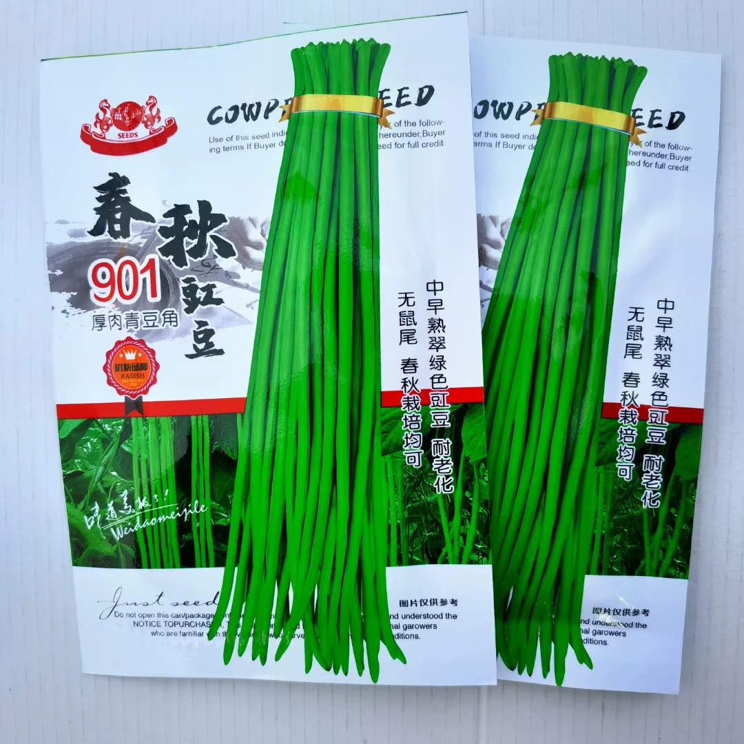 春秋901青豆角种子特长豇豆种子翠绿色长豆角高产春秋蔬菜种子