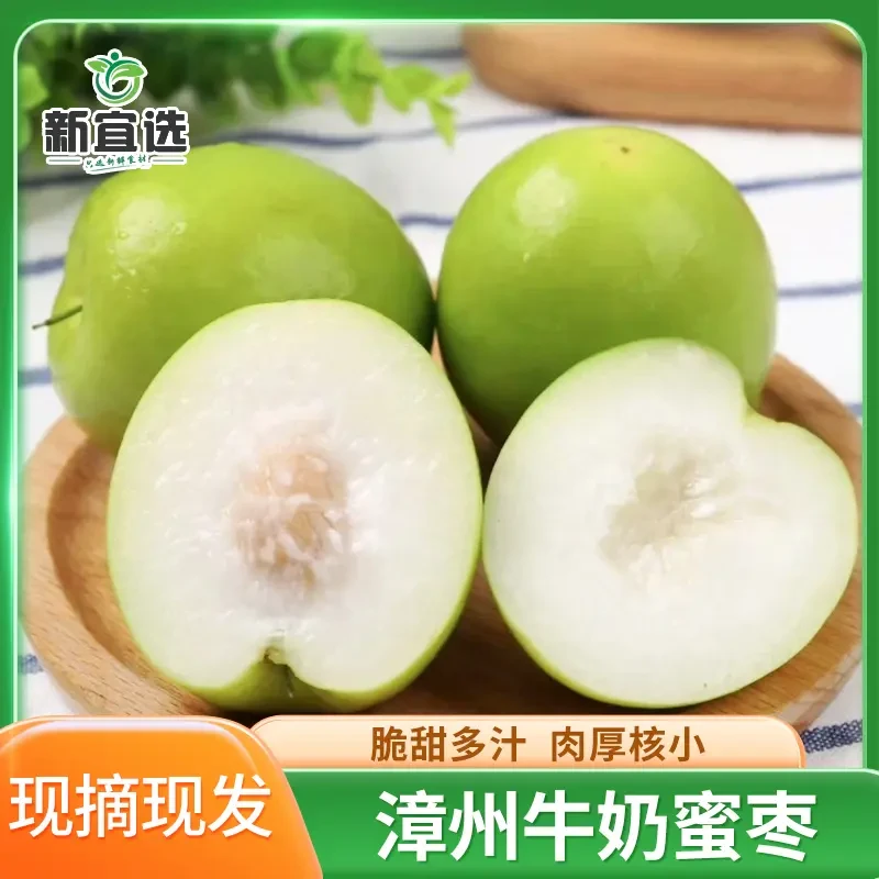 【脆甜】福建贵妃牛奶蜜枣新鲜应季多汁大青枣好吃坏包赔冬枣苹果枣
